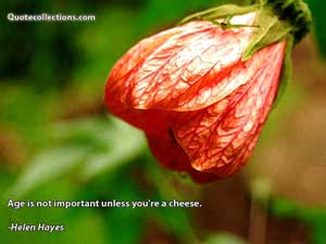 Helen Hayes Quotes 4